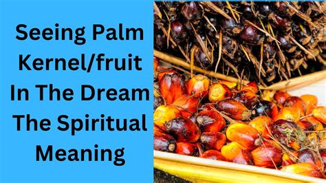 Exploring Different Dream Situations Involving Palm Kernel and Their Diverse Meanings