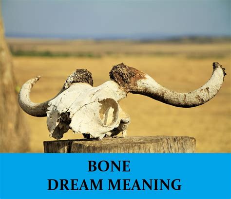 Exploring Different Interpretations of Dreams Involving Fractured Bones