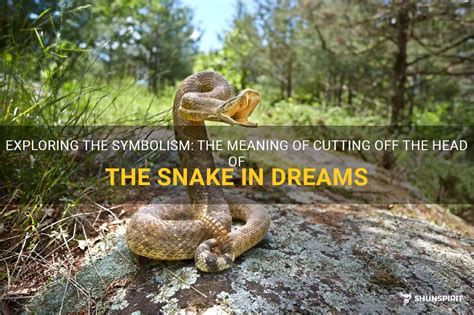 Exploring Different Meanings of Snake Head Dreams