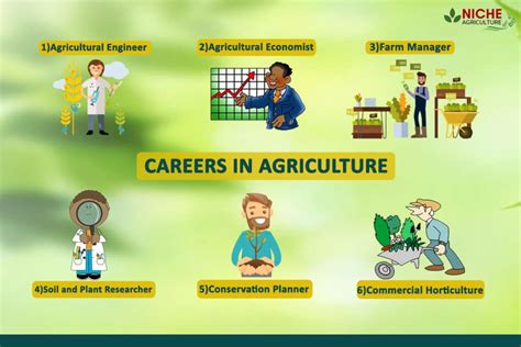 Exploring Different Types of Agricultural Occupations