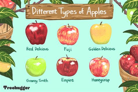 Exploring Different Types of Apples and Their Unique Symbolism in Dreamscapes