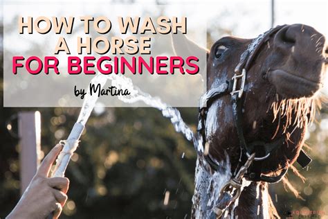 Exploring Dream Symbols: Washing a Horse