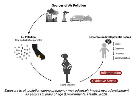 Exploring Environmental Factors: The Impact of Pollution and Smoking on the Development of Respiratory Conditions