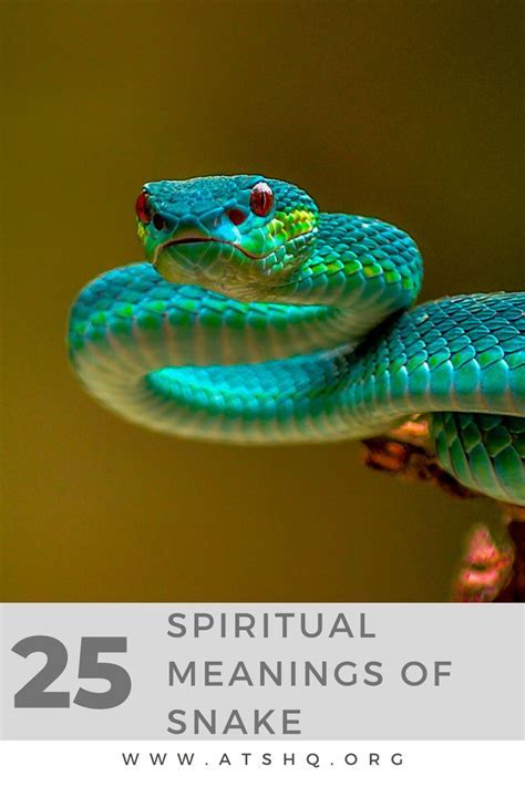 Exploring How Serpent Visions Can Illuminate Personal Metamorphosis and Evolution