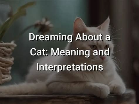 Exploring Interpretations of Dreaming about Feline Tossing