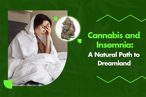 Exploring Natural Solutions for Insomnia