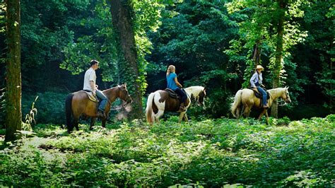 Exploring Nature's Playground: Horse Riding in Breathtaking Landscapes