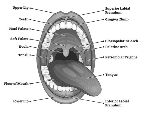 Exploring Personal Connections to an Inflamed Oral Cavity in Dreams