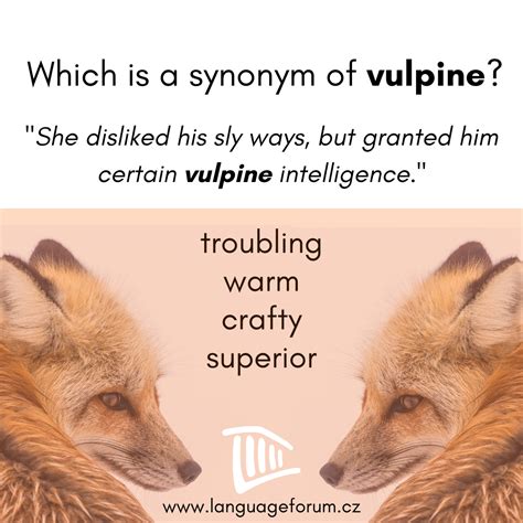 Exploring Personal Connections to the Symbolism of an Ailing Vulpine in Reveries