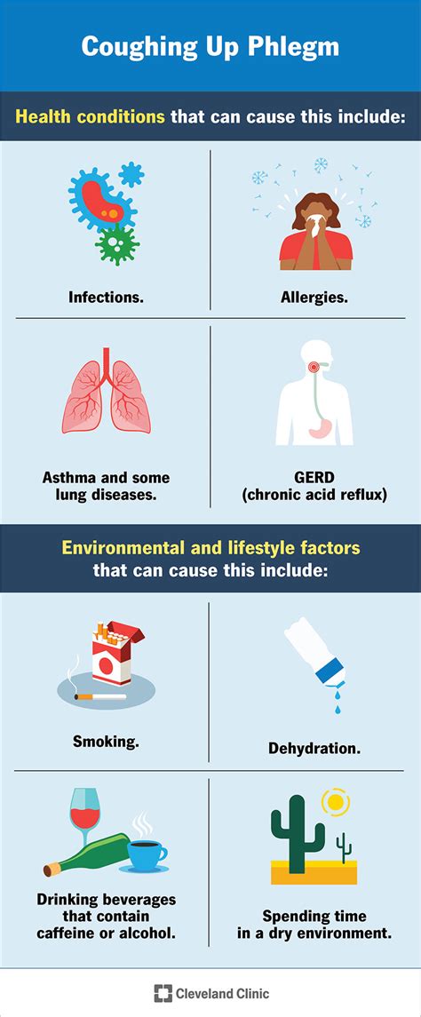 Exploring Possible Medical Factors Contributing to the Sensation of Excessive Phlegm in the Throat