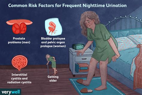 Exploring Potential Medical Factors Behind Frequent Urination Dreams: Shedding Light on Health Concerns