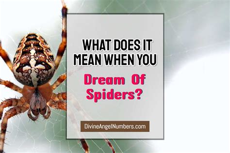 Exploring Power Dynamics in Spider-Related Dreams