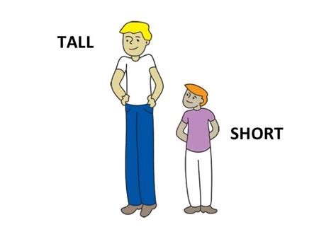 Exploring Raghavi's Height: Is She Taller or Shorter Than the Average?