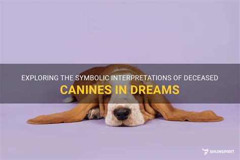 Exploring Symbolic Interpretations of Dog Dreams