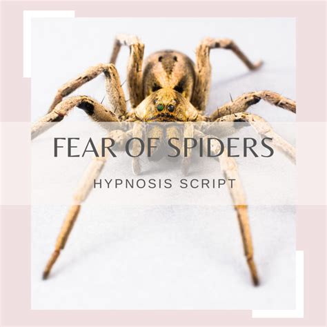 Exploring Therapeutic Approaches for Overcoming Arachnophobia