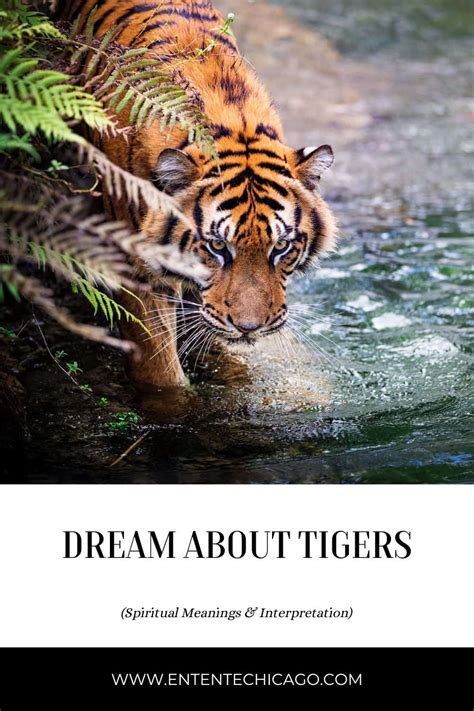 Exploring Tiger Dreams for Personal Growth and Self-Discovery