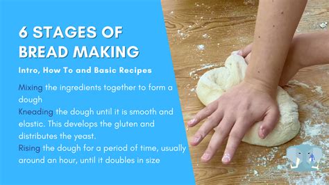 Exploring Various Bread-Making Methods