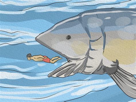 Exploring Various Interpretations of Fish-Removal Visions