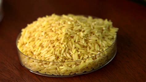 Exploring Ways to Add Color to Your Meals with Golden Rice