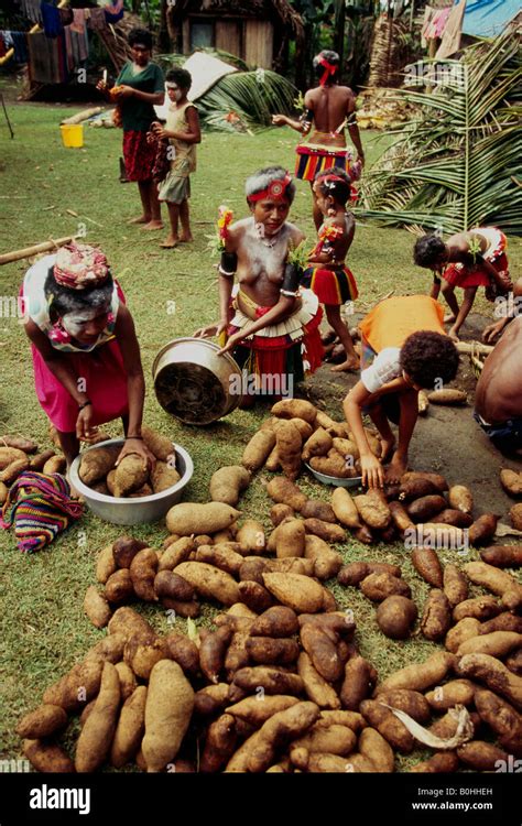 Exploring Yam Harvesting in Art and Literature