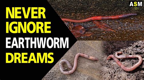 Exploring the Archetypal Significance of Earthworms and Serpents in Dream Interpretation