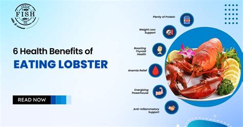 Exploring the Benefits of Incorporating Lobster into Your Diet