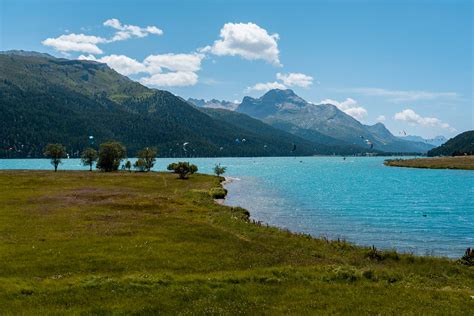 Exploring the Captivating Charms of Azure Bliss in Nature's Splendor