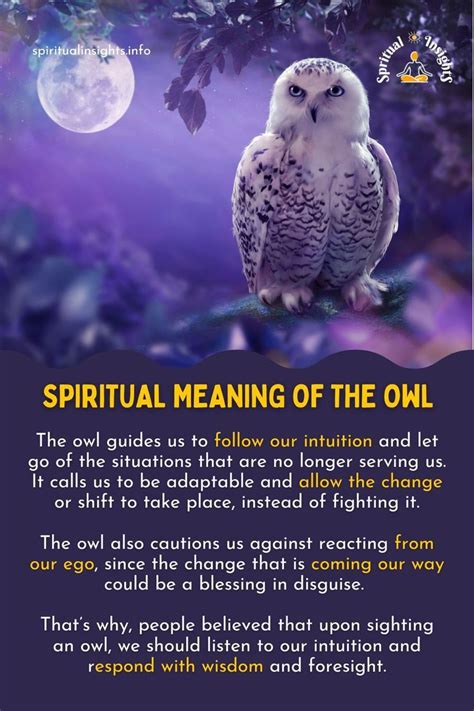 Exploring the Collective Consciousness: Owls as Spiritual Guides