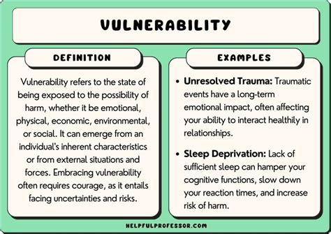 Exploring the Concepts of Loss and Vulnerability