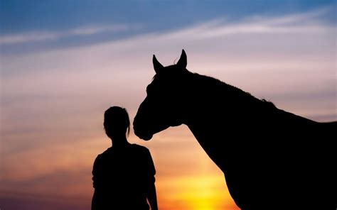 Exploring the Connection Between Dreams of a Departed Equine and Grief Experience