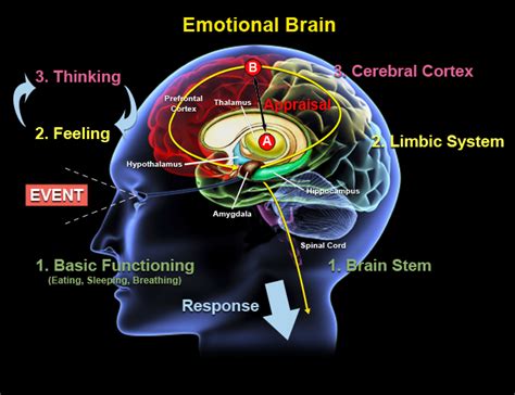 Exploring the Connection between Monetary Fantasies and Emotional States