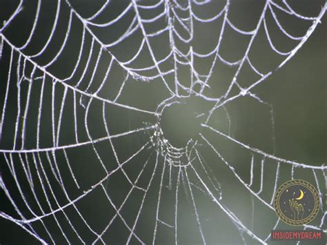 Exploring the Cultural Significance of Cobwebs in Dreams