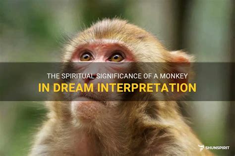 Exploring the Cultural Significance of Dreams Depicting a Monkey's Demise