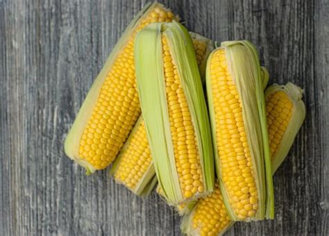 Exploring the Cultural Significance of Maize in Dream Interpretation