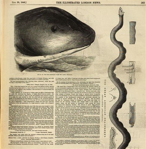 Exploring the Cultural Significance of Serpents and Marine Life