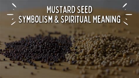 Exploring the Cultural and Historical Significance of Seed Symbolism