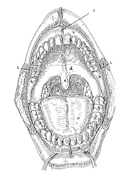 Exploring the Cultural and Spiritual Significance of Expelling Substance from the Oral Cavity in Oneiric Experiences