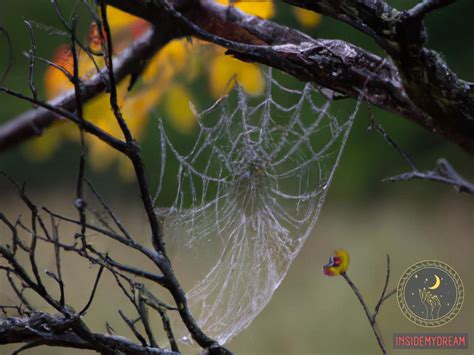 Exploring the Deep Significance of Spider Silk in the Interpretation of Dreams