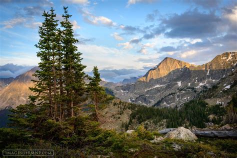 Exploring the Deeper Significance of Peaks in Reveries