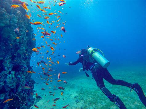 Exploring the Depths: Scuba Diving in Challenging Ocean Currents