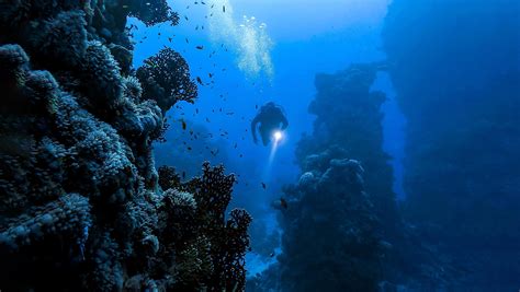 Exploring the Depths: Unveiling the Mysteries of the Earth's Oceans