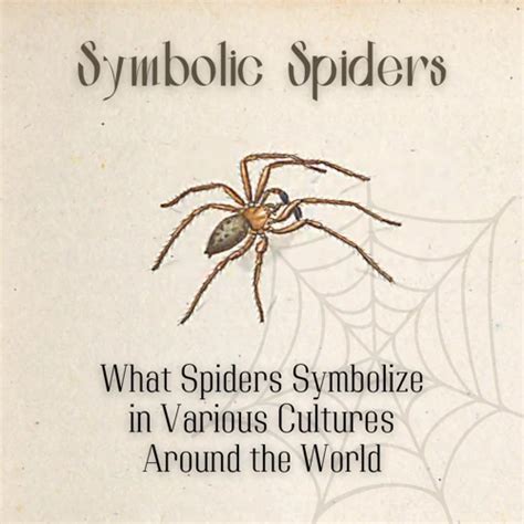 Exploring the Depths of Symbolism in Spider Dreams