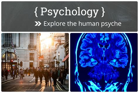 Exploring the Depths of Your Mind: Understanding the Psychological Significance