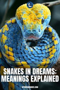 Exploring the Dichotomy: Identifying Warnings and Spiritual Messengers in Snake Dreams