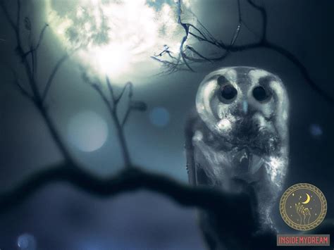 Exploring the Different Interpretations of Owls in Dream Psychology