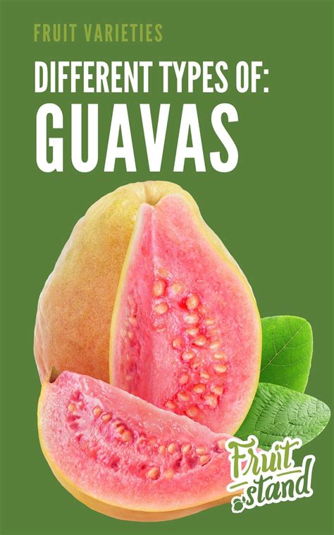 Exploring the Different Types of Guavas