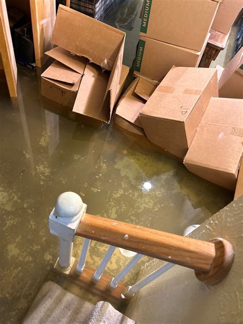 Exploring the Different Types of Water Damage Dreams