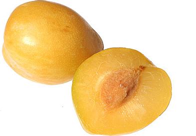 Exploring the Distinctive Flavor of Golden Plums