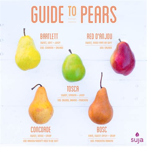 Exploring the Distinctive Flavors of Indigenous Pear Varieties