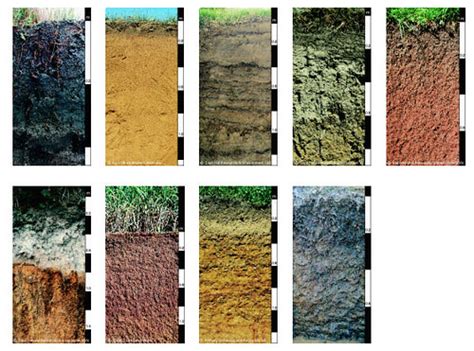 Exploring the Diverse Applications and Versatility of Rust-Colored Soil